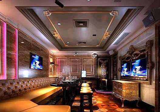 邯郸商务ktv是什么，解析商务ktv含义-大名县ktv预订
